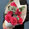 3 розовые кустовые розы Белла Линда Цериз 60 см